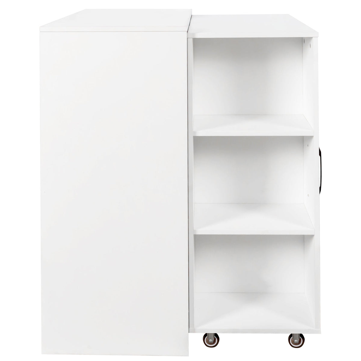 Bookcase with Three Pulled Out Doors
