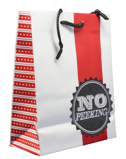 Contemporary Gift Bag With Tissue - No Peeking Medium