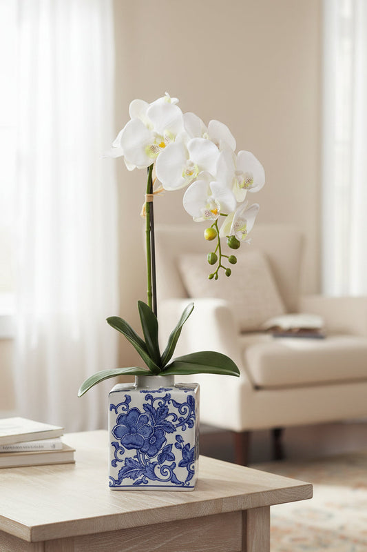 22" Cream Phalaenopsis Orchid Plant in Ceramic Vase