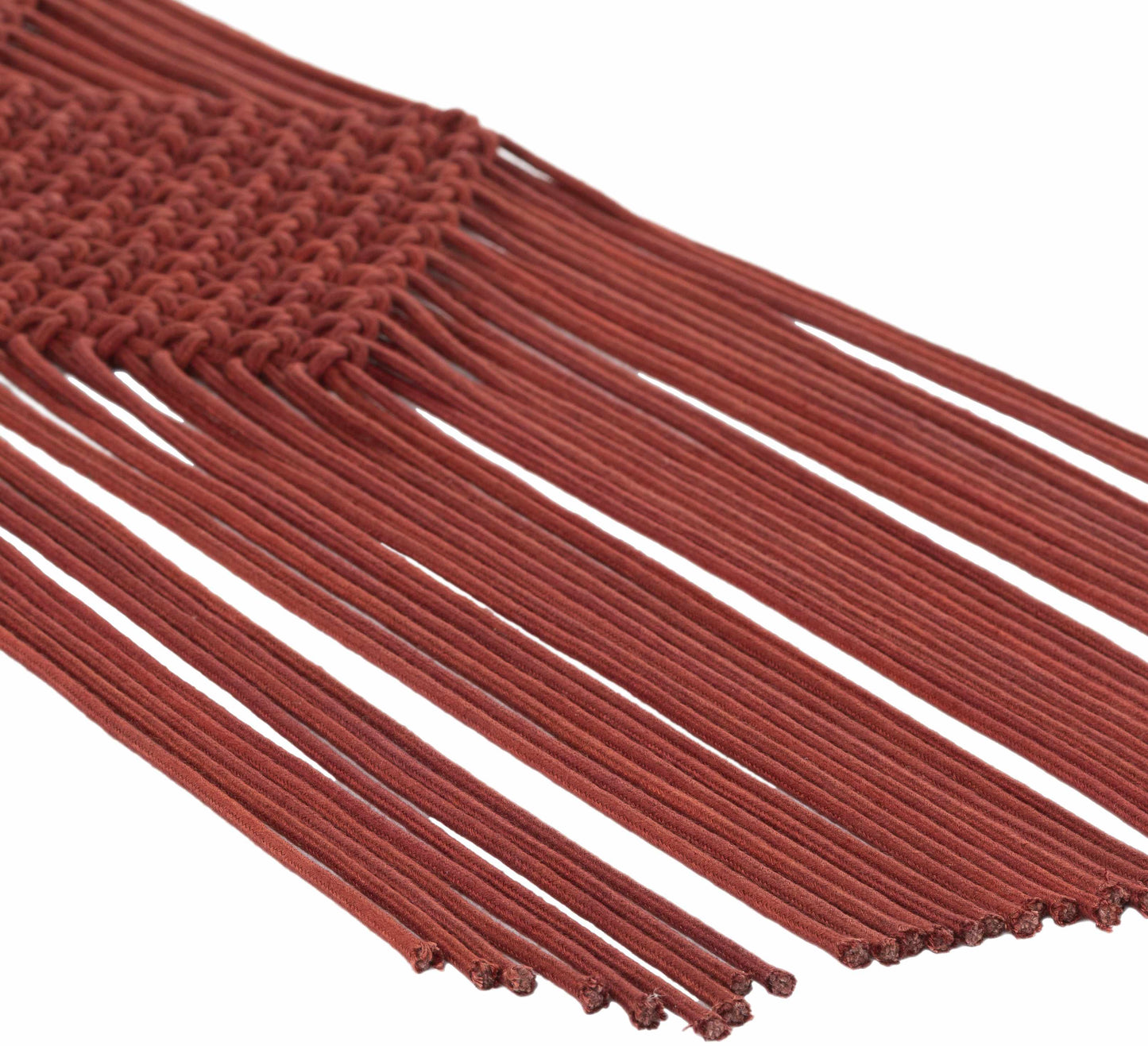 Columbio Rust Macramé Wall Hanging Decor