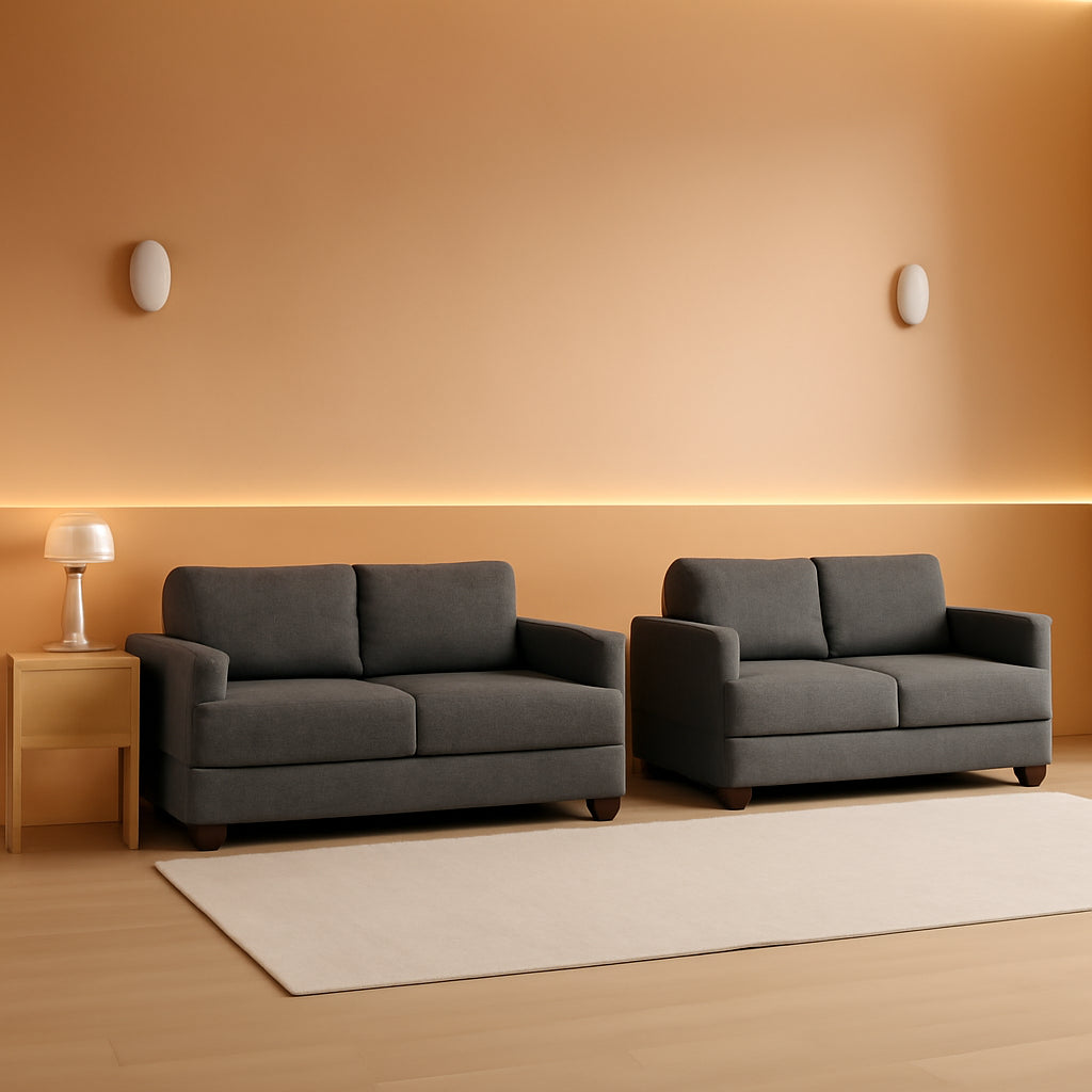 Comfy Modern Sleeper Couch Set for Living Room