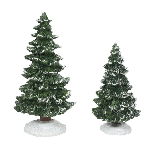 Christmas Spruce Trees - Set of 2