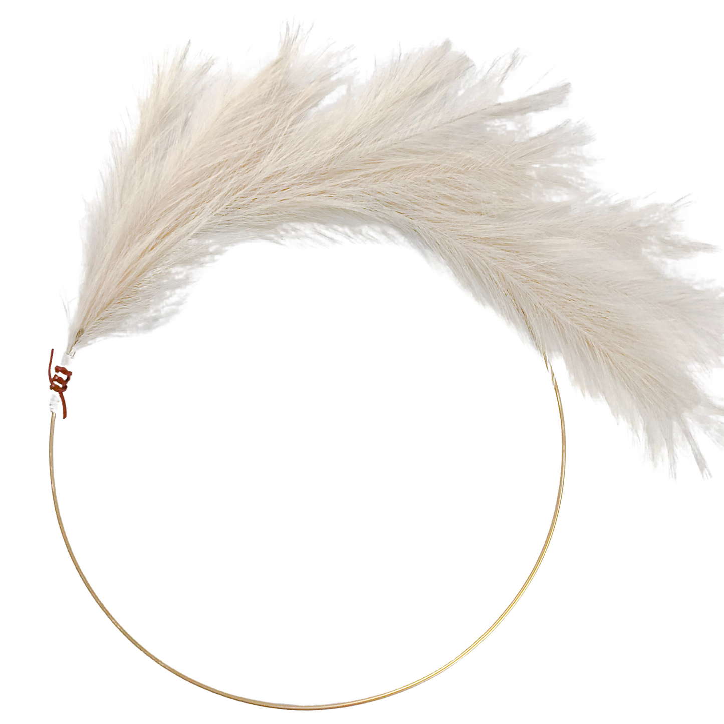 Modern Pampas Grass Hoop Wreath with Leather Detail