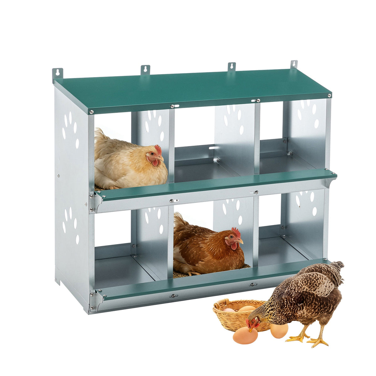 Chicken Nesting Box - 6 Room Metal Design for Hens