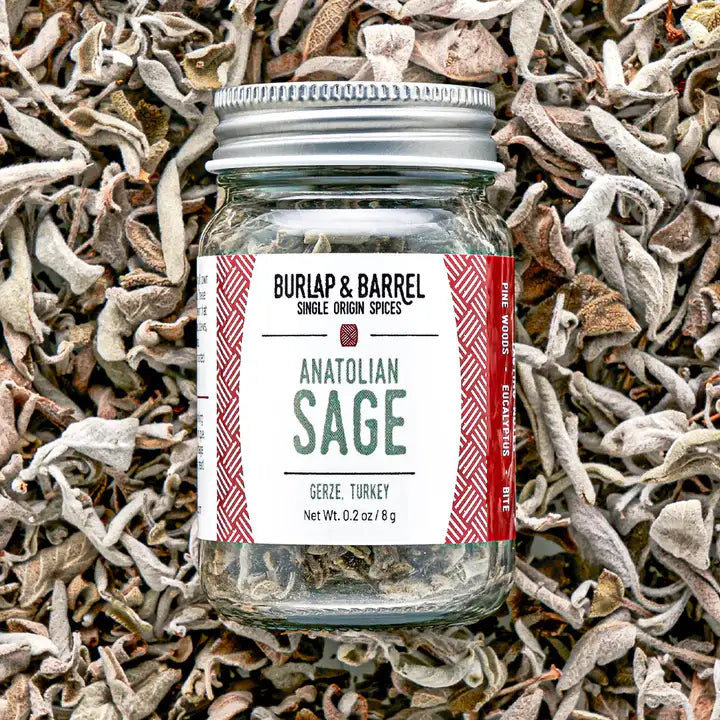 Anatolian Sage | Black Sea, Turkey