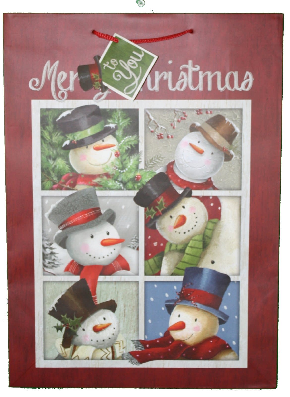 Paper Images Jumbo Gift Bag With Gift Tag - Santa