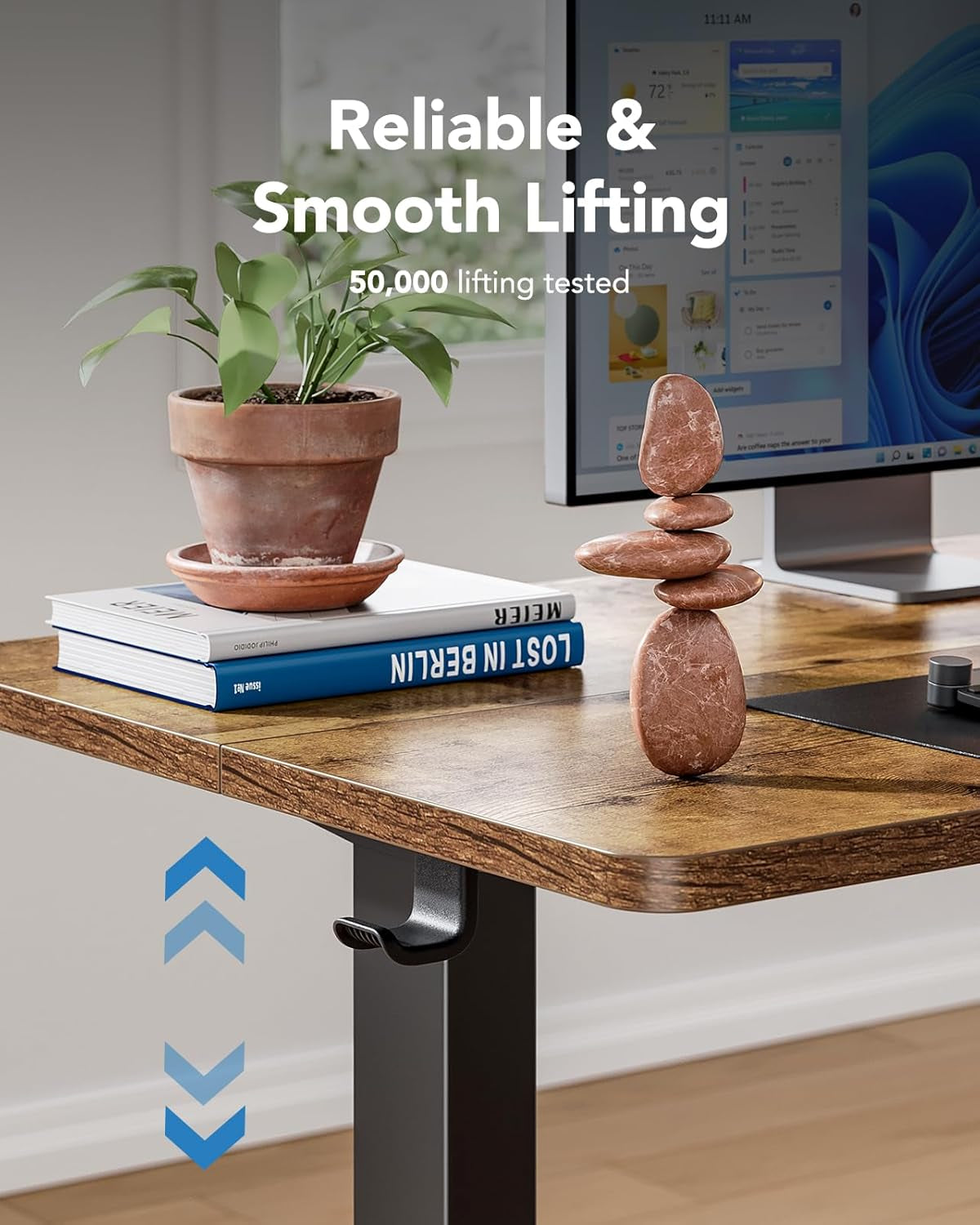 48x24 Inch Electric Standing Desk With Adjustable Height