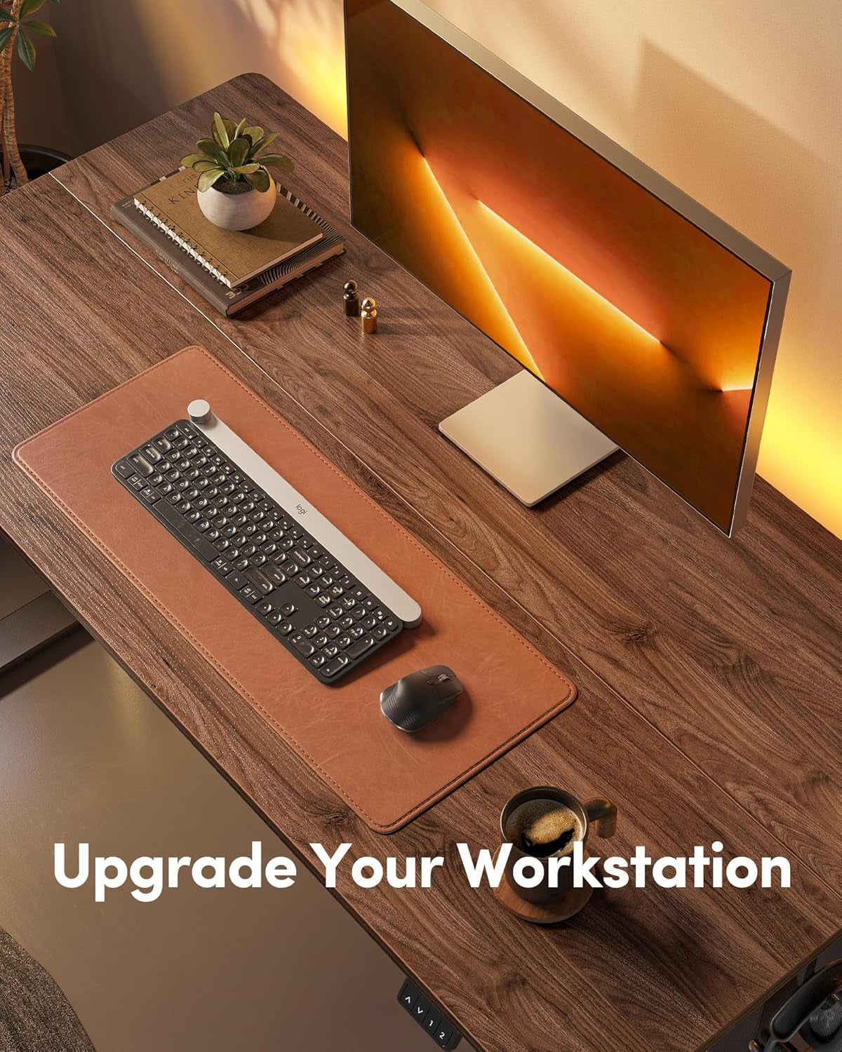 Electric Height Adjustable Standing Desk 55x24 Black Walnut