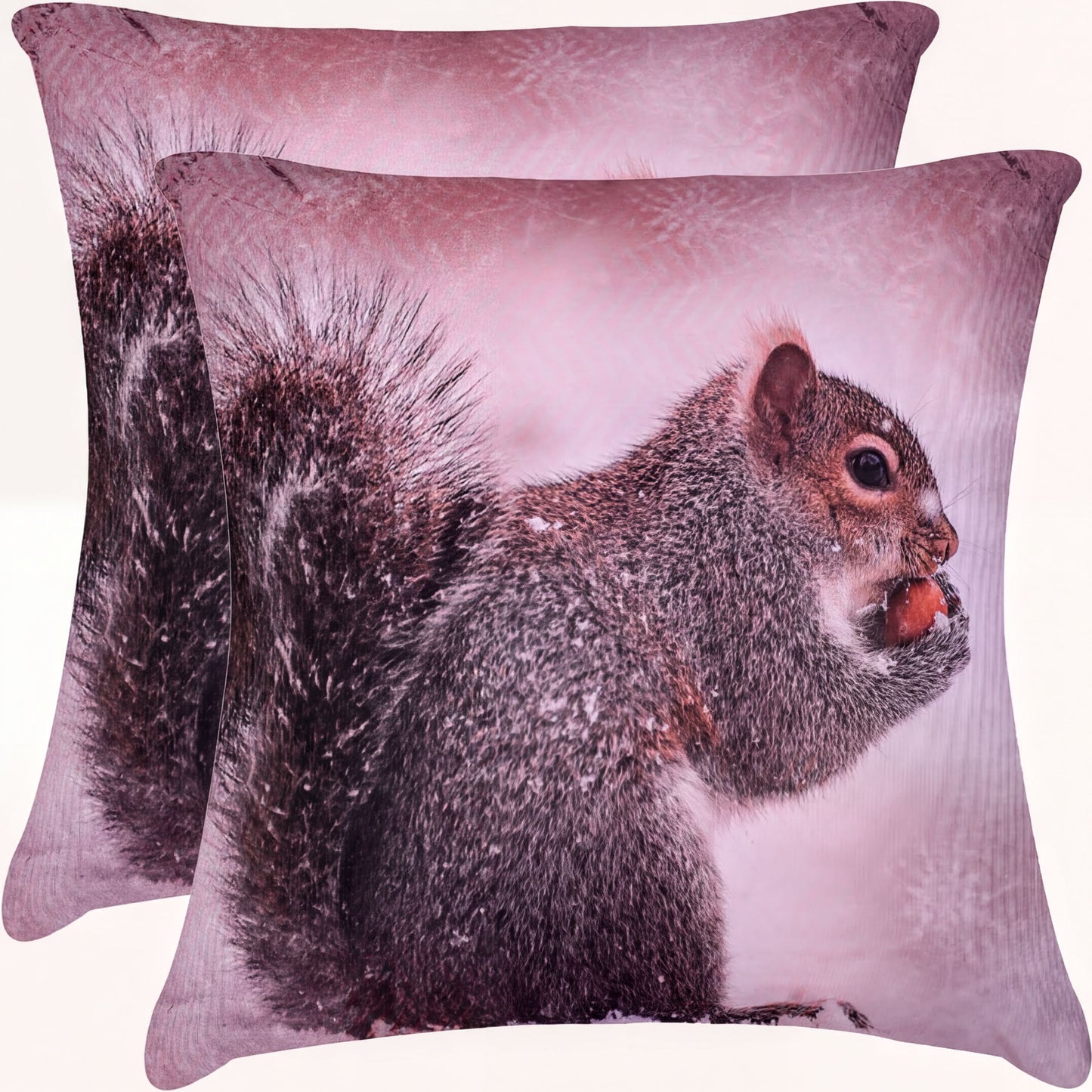 Squirrel Throw Pillow Covers - Set of 2 or 4 Decorative Printed Cushion Covers, 18x18 Inch