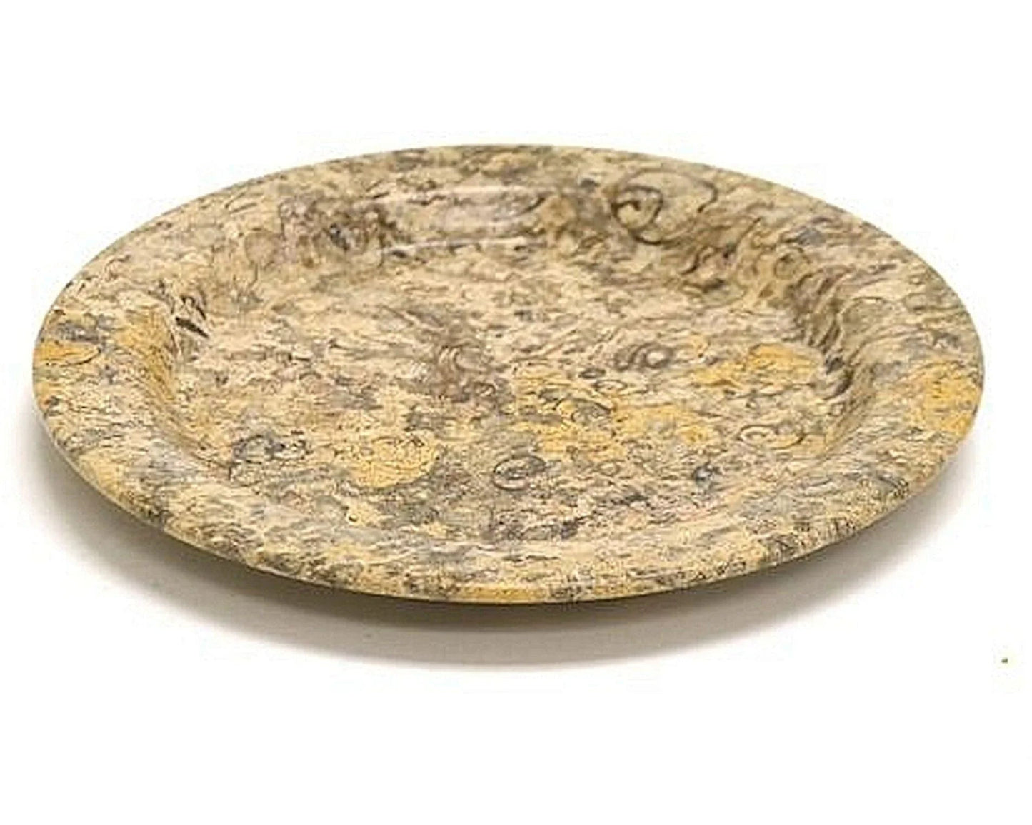 Decorative Plate of Fossil Stone | 6-inch Round