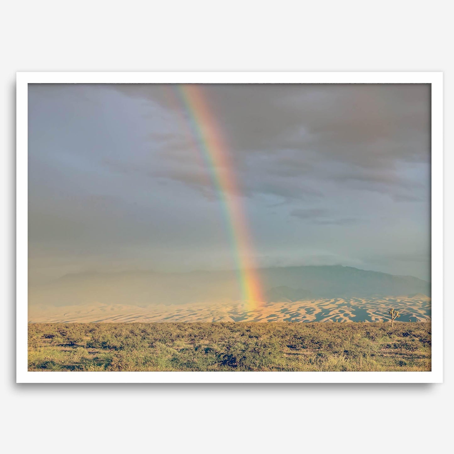 Desert Rainbow