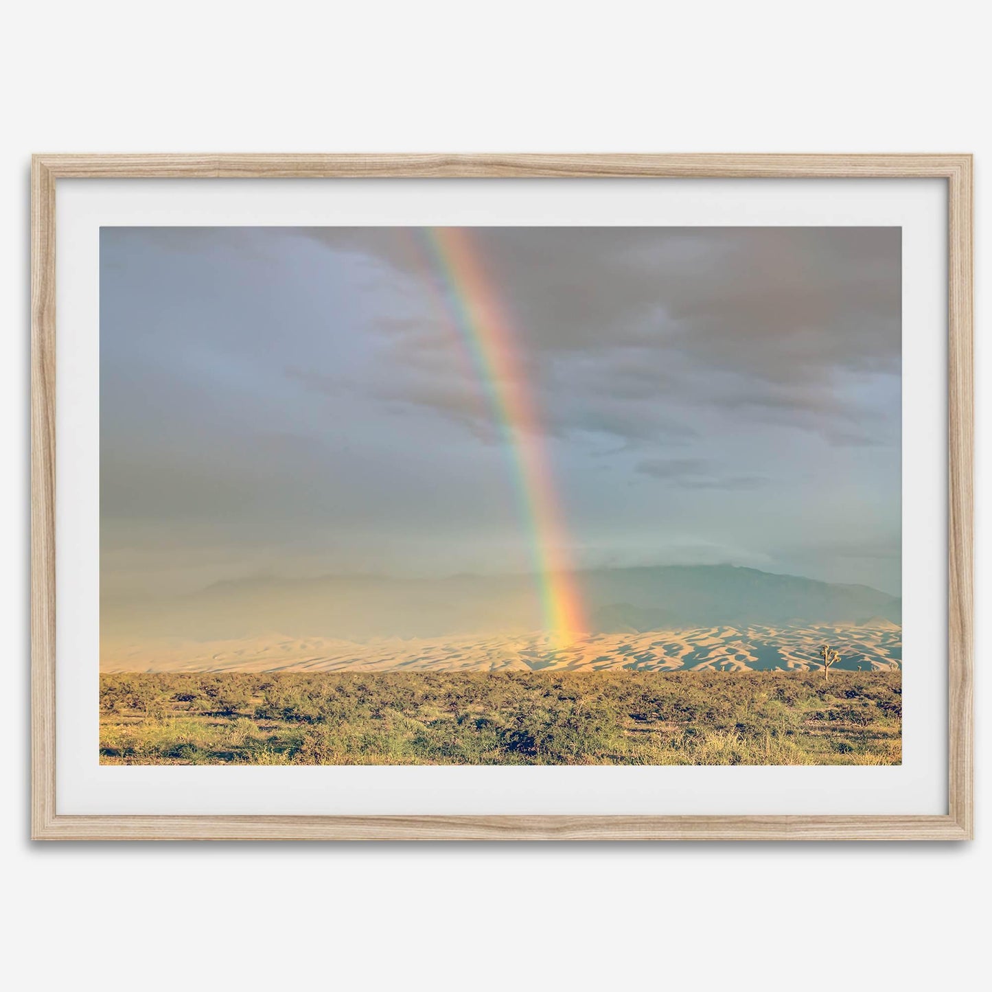 Desert Rainbow