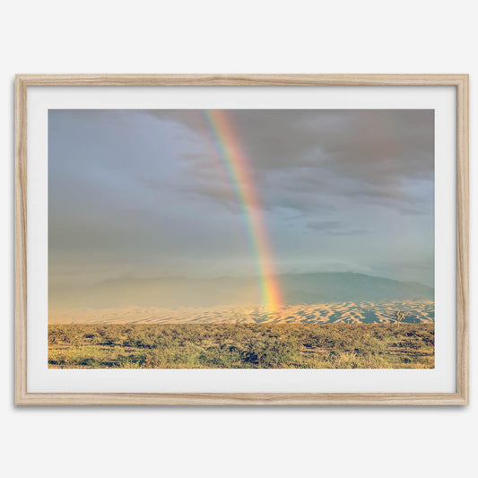 Desert Rainbow