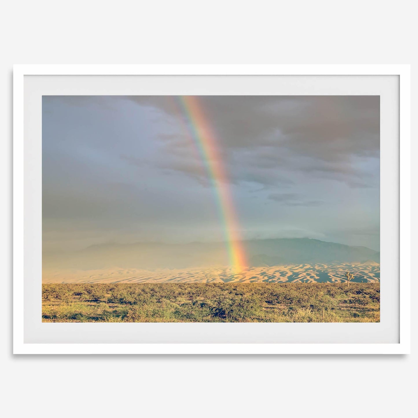 Desert Rainbow