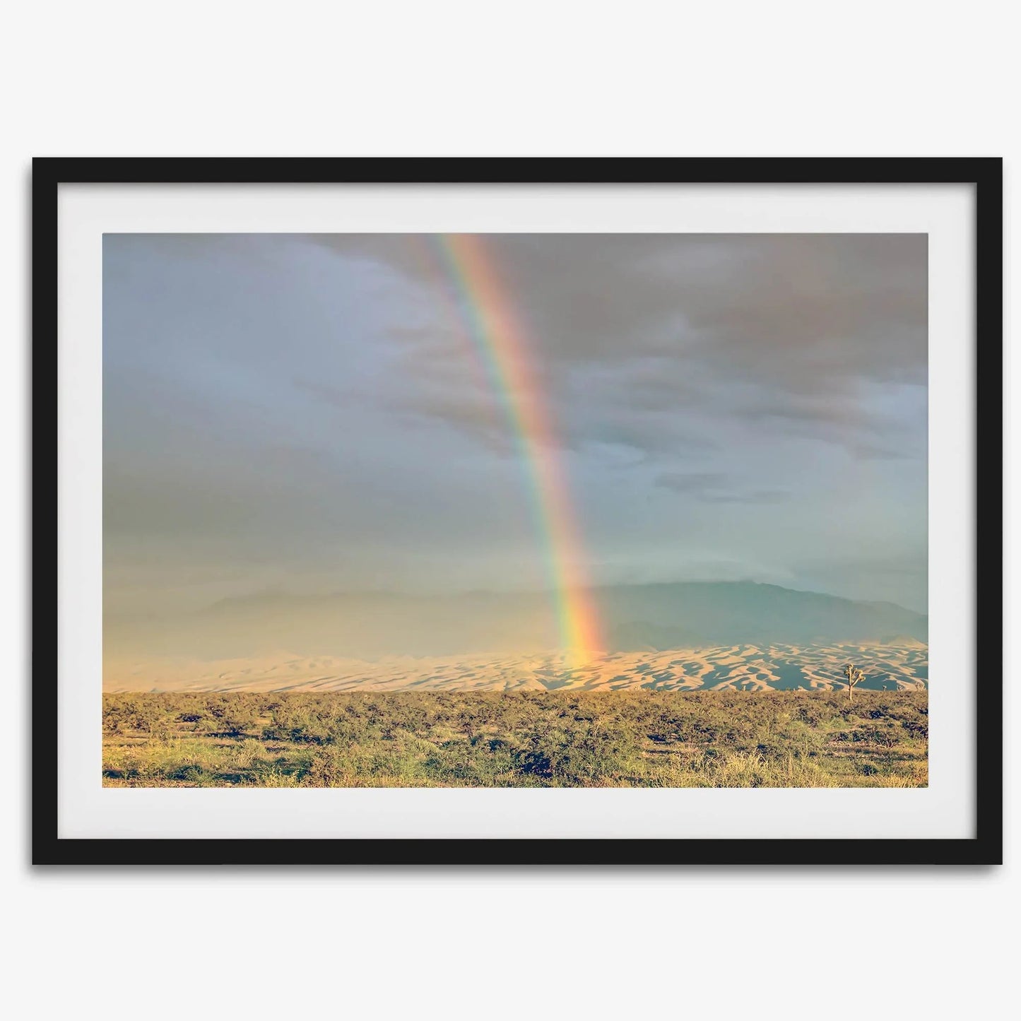 Desert Rainbow