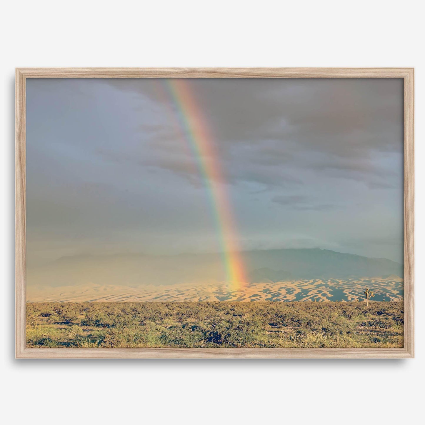 Desert Rainbow