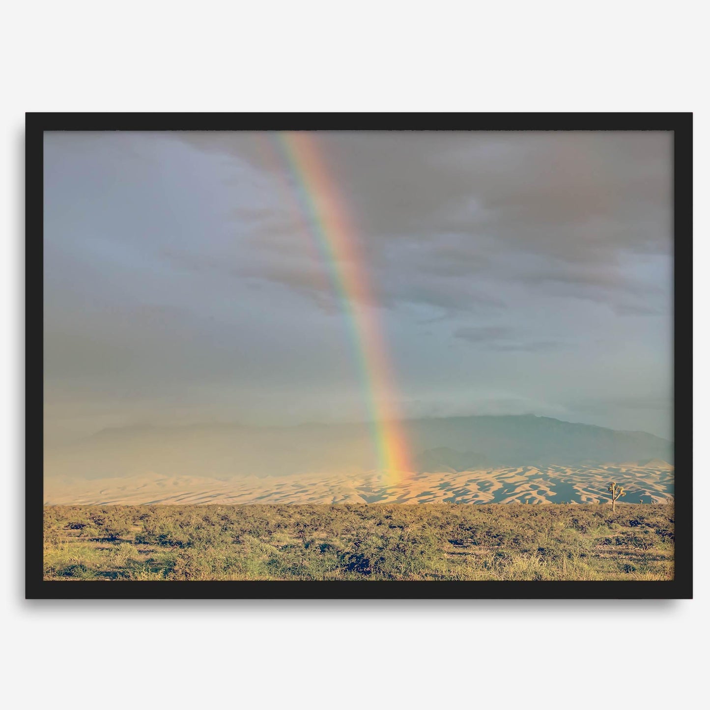 Desert Rainbow