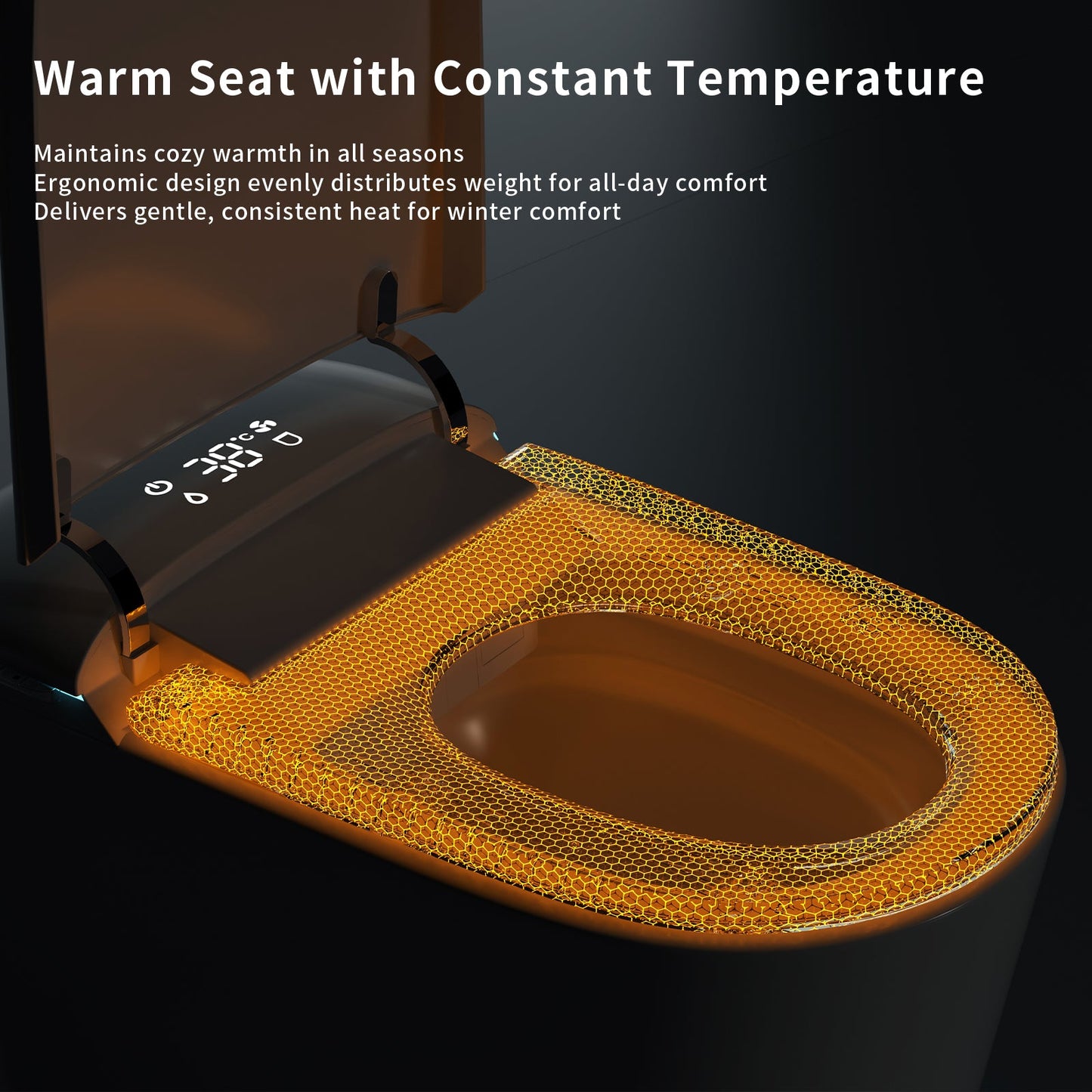 E40 Smart Toilet with Bidet Built In