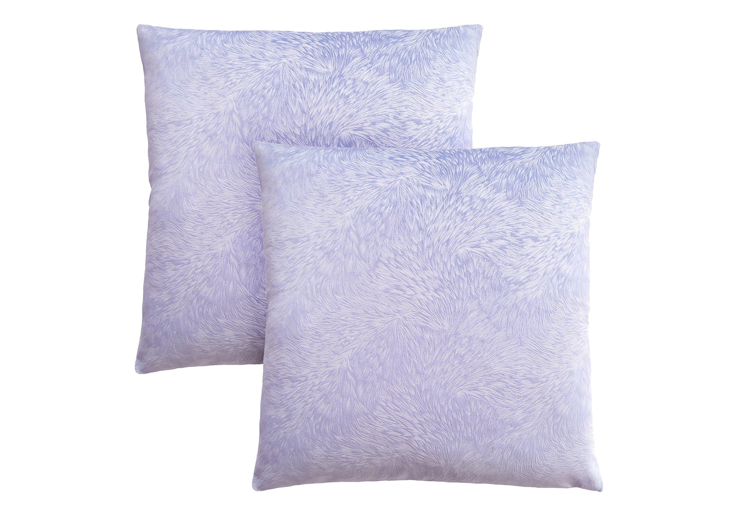 Set Of 2 Decorative Throw Pillows - 18 X 18