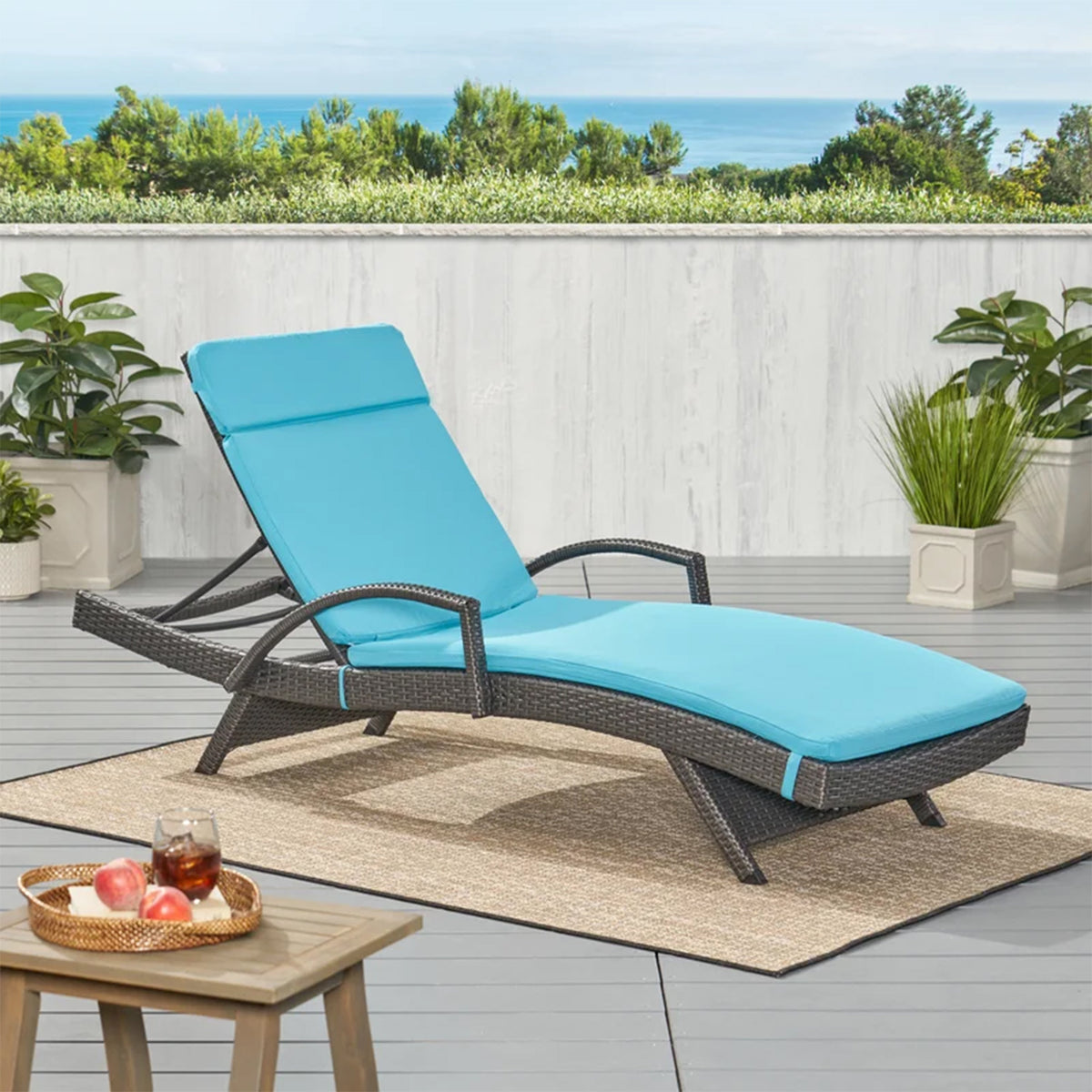 Salem Outdoor Chaise Lounge Cushion 2-Piece Set