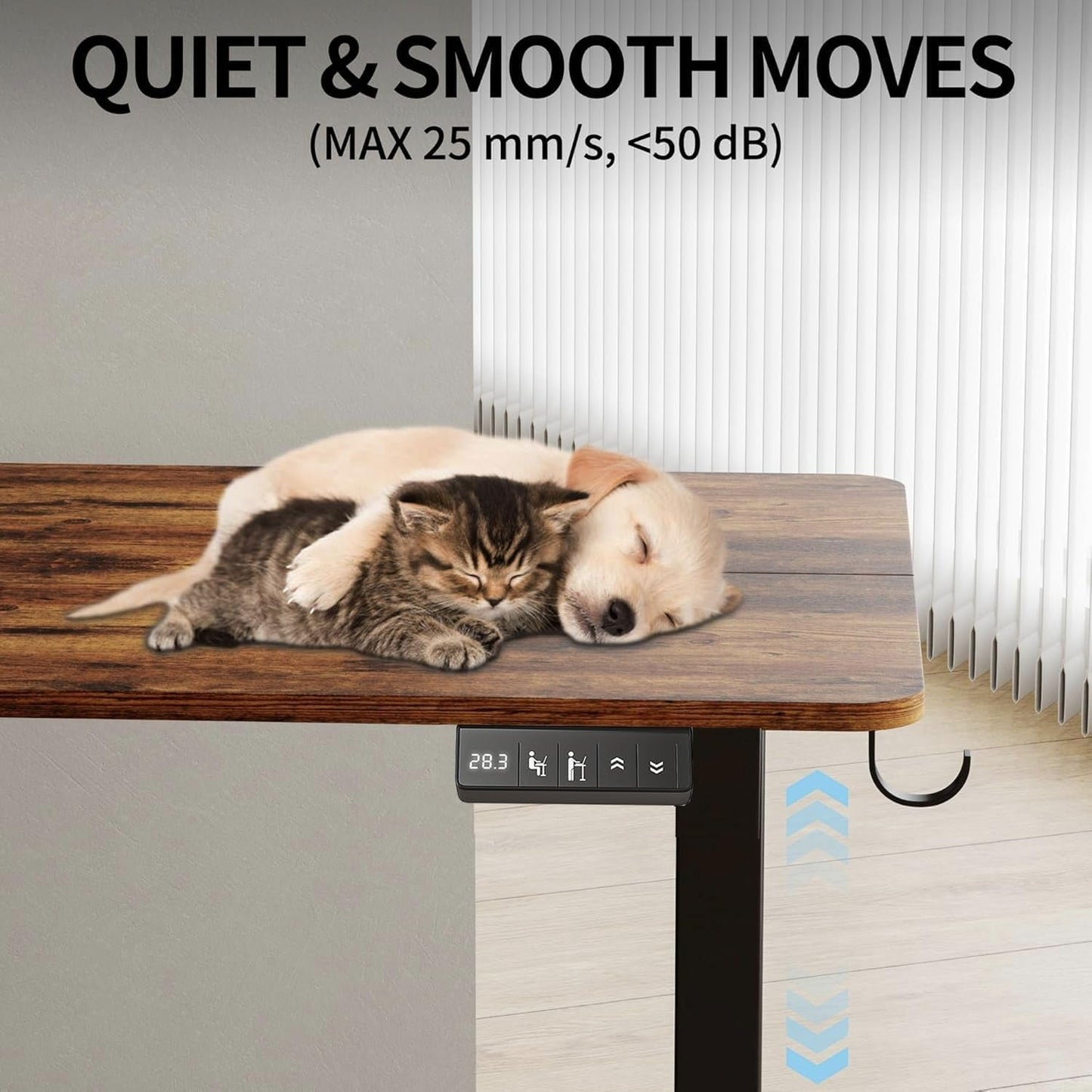 Electric Height Adjustable Standing Desk with Casters