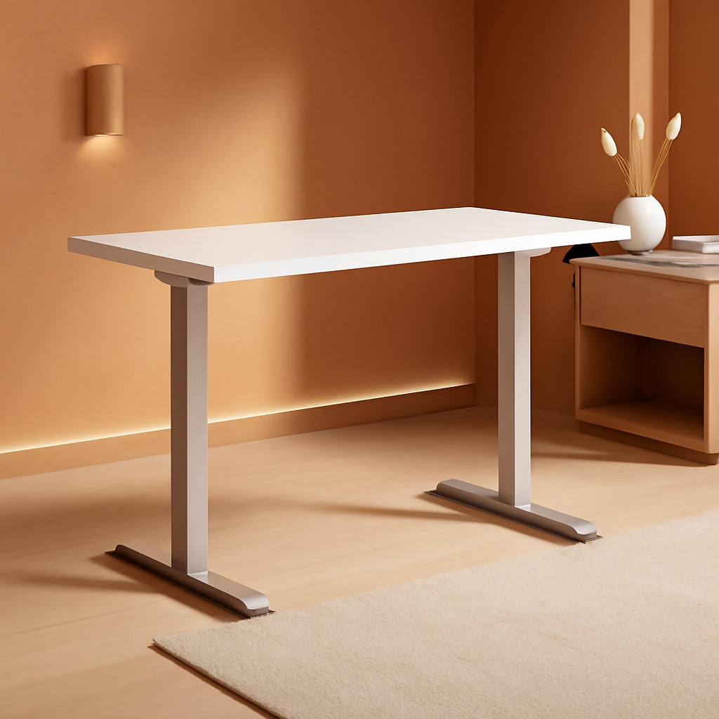 Electric Height Adjustable Standing Desk with Modern Design
