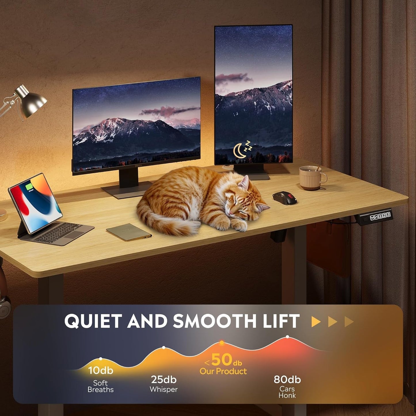 Electric Height Adjustable Standing Desk with Phone Holder