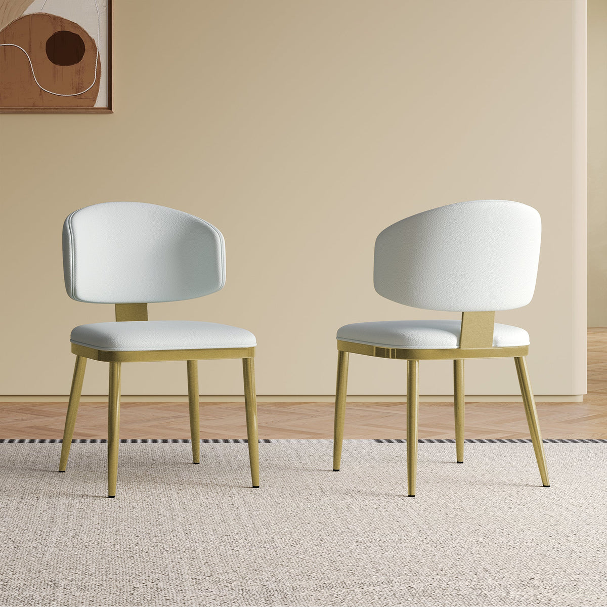Dining Chairs Set of 2 in Modern Design