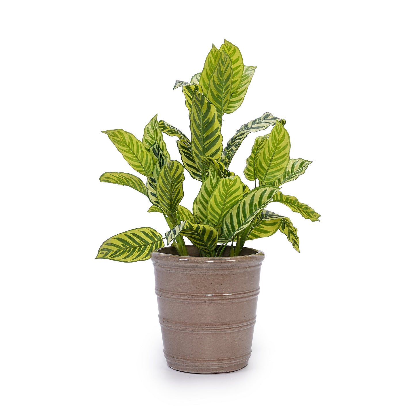 Handmade Ceramic Planter Set of 3, 16"/13"/10" Diameter