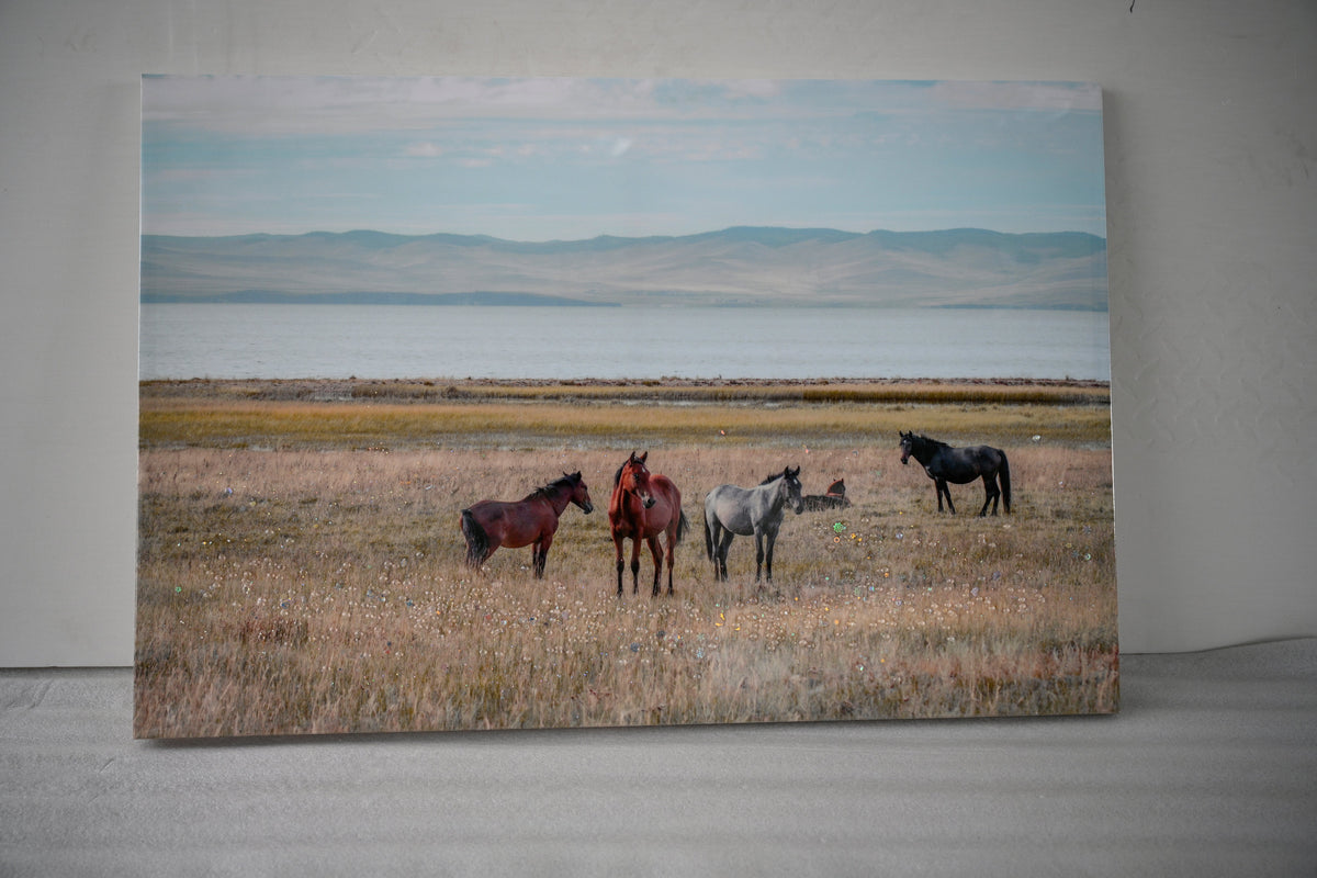 Horse Framed Wall Art Decor: Country Western Farmhouse