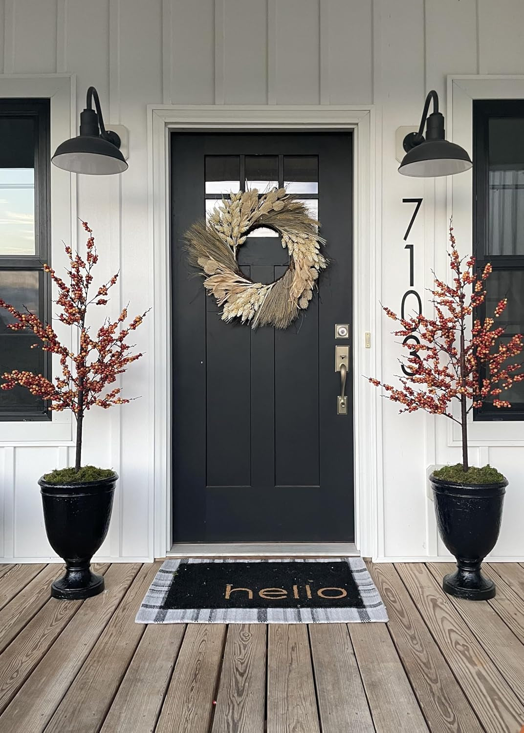 Outdoor Wall Mounted 12 Inch Dome Gooseneck Light