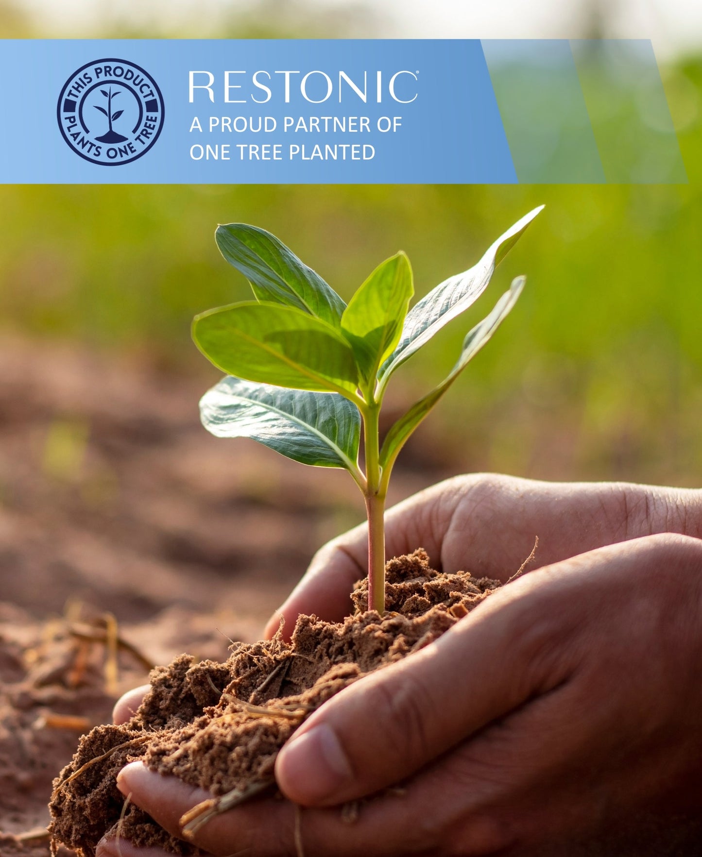 Restonic ComfortCare Hybrid Restful Nights Firm Mattress - California King