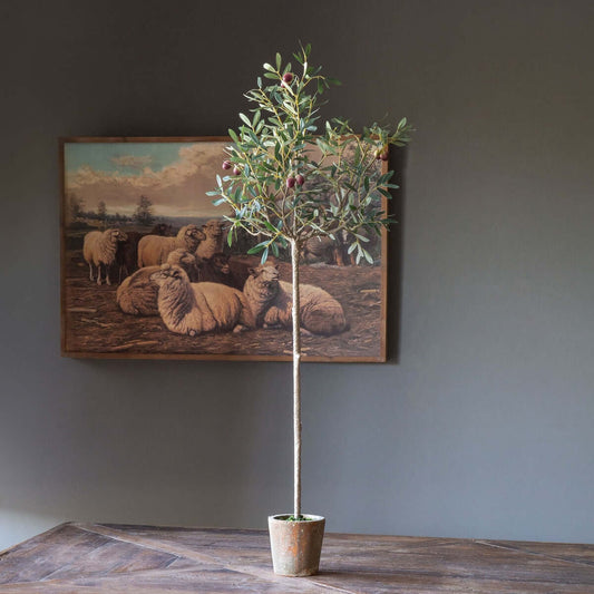 Faux Olive Tree Topiary in Vintage Pot