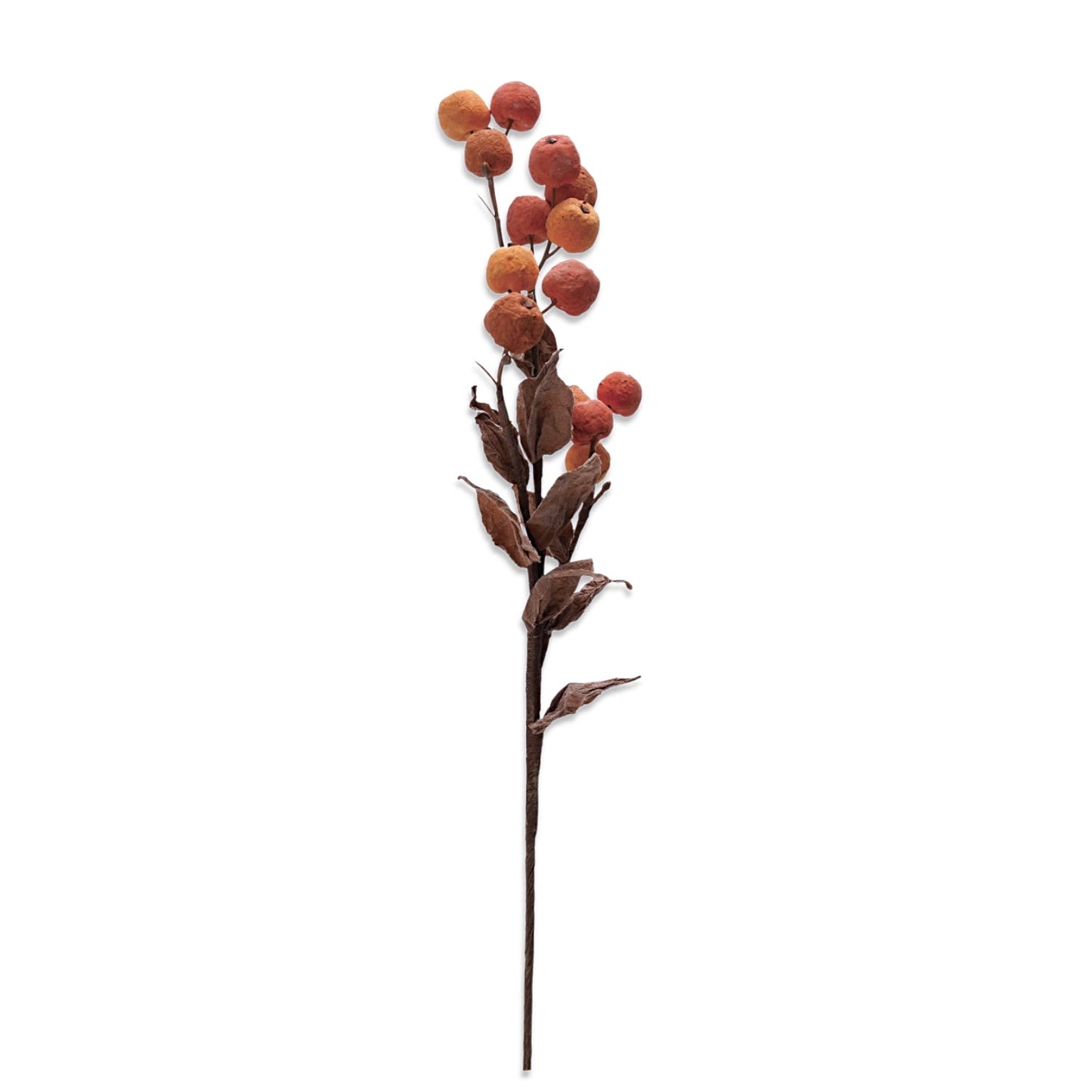 Yellow & Orange Berry Stem
