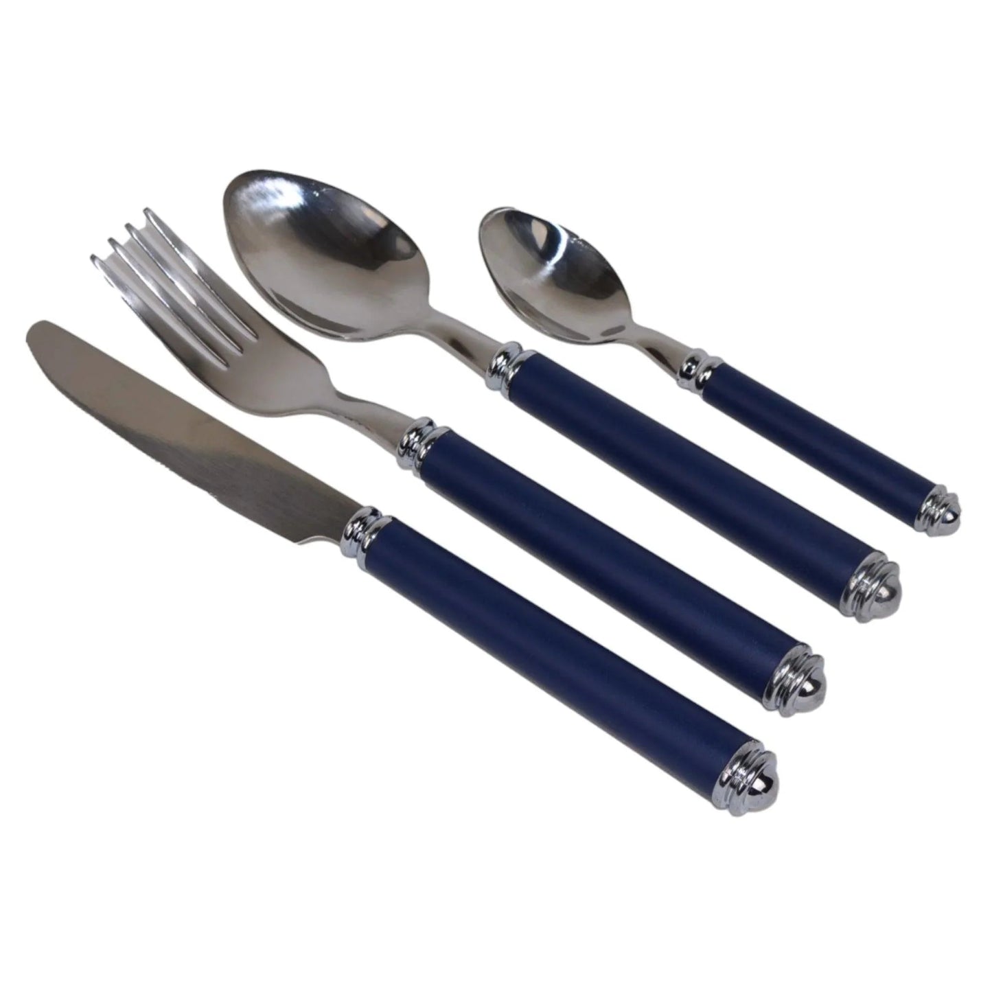 Flatware Set with Blue Handles and Storage Cady