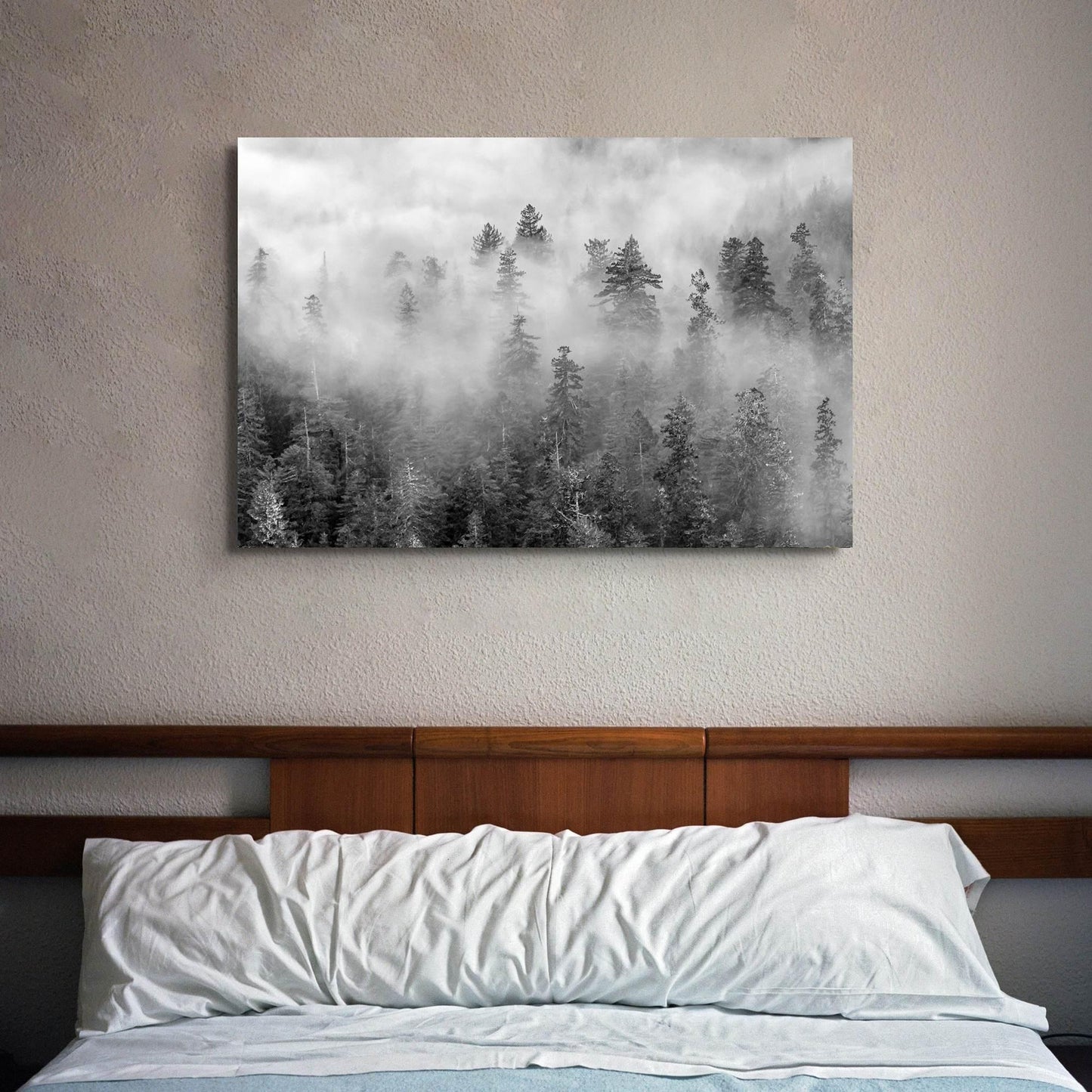 Foggy Treetops Canvas