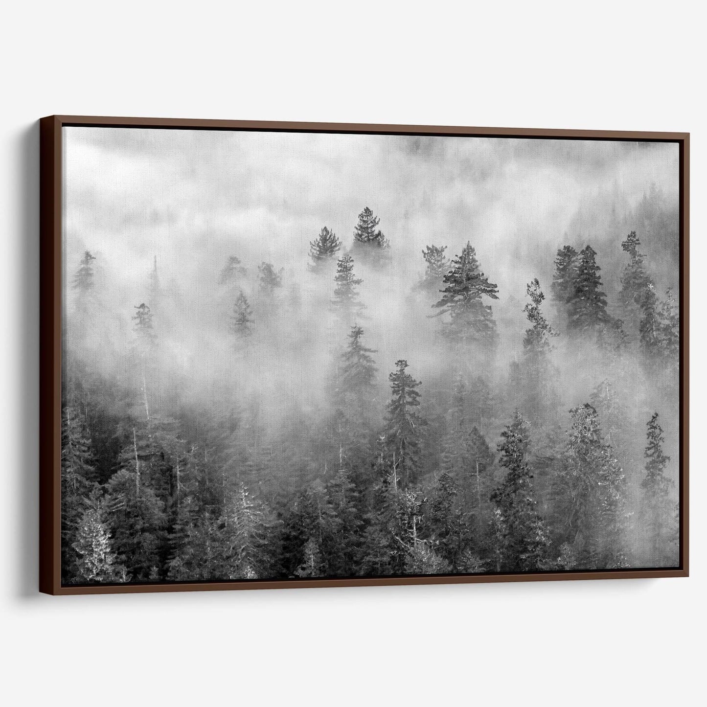 Foggy Treetops Canvas