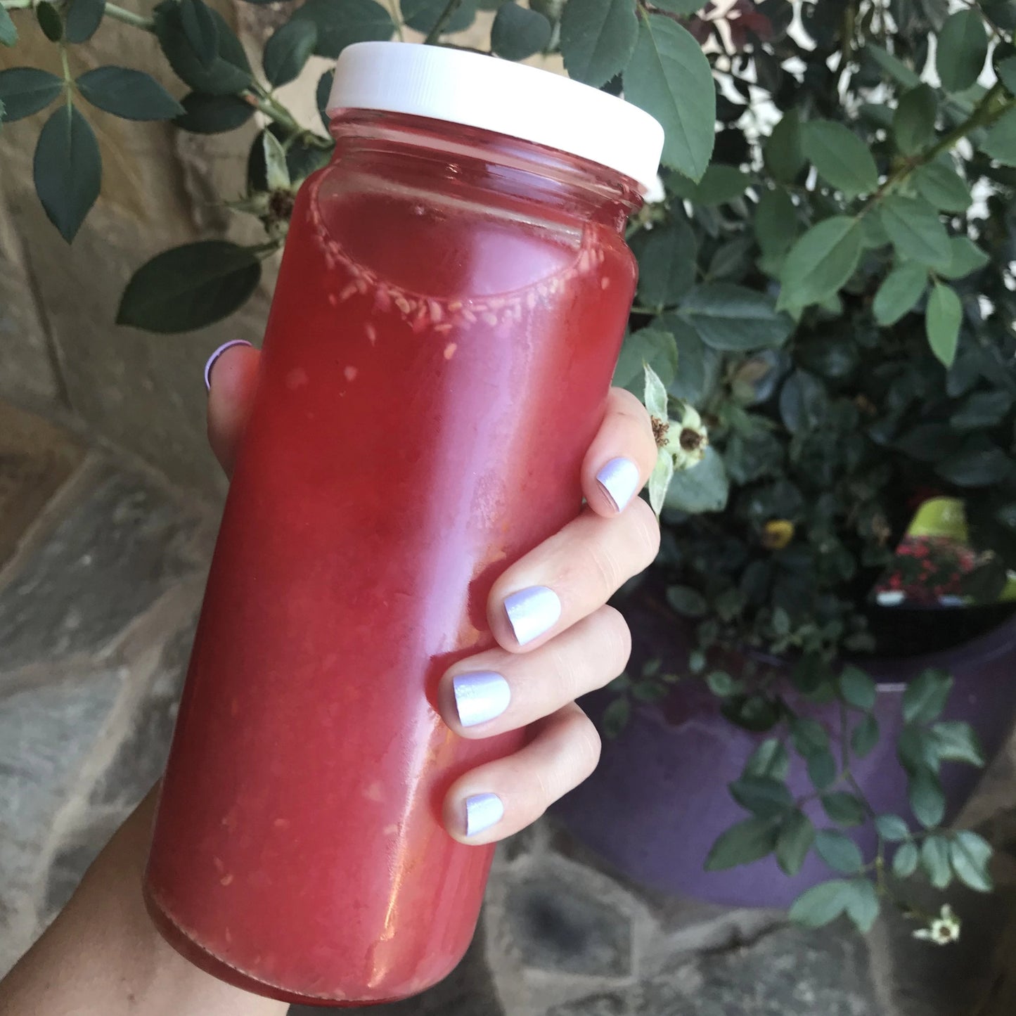 Original Series Wide Mouth Glass Bottles w/ Lids & Silicone Liner, 16 oz