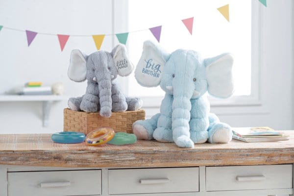 Big Brother Jellybean