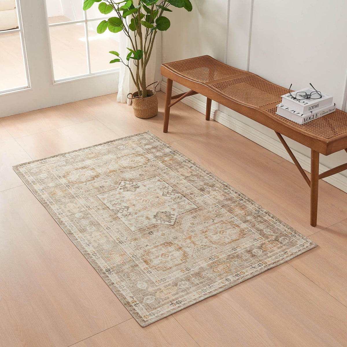 Decorative rug on a wooden floor with a wooden bench and plant in the background.