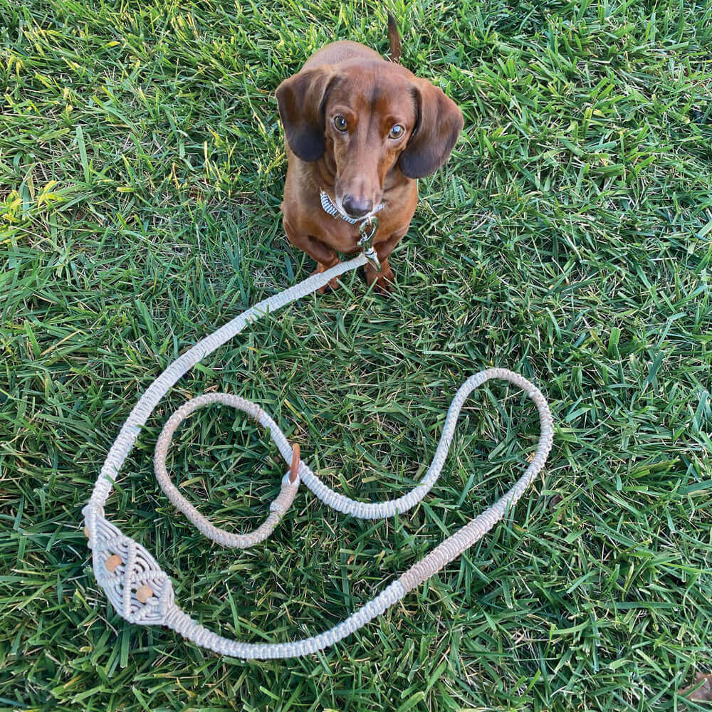 Handmade Boho Macrame Dog Leash (Set of 2)