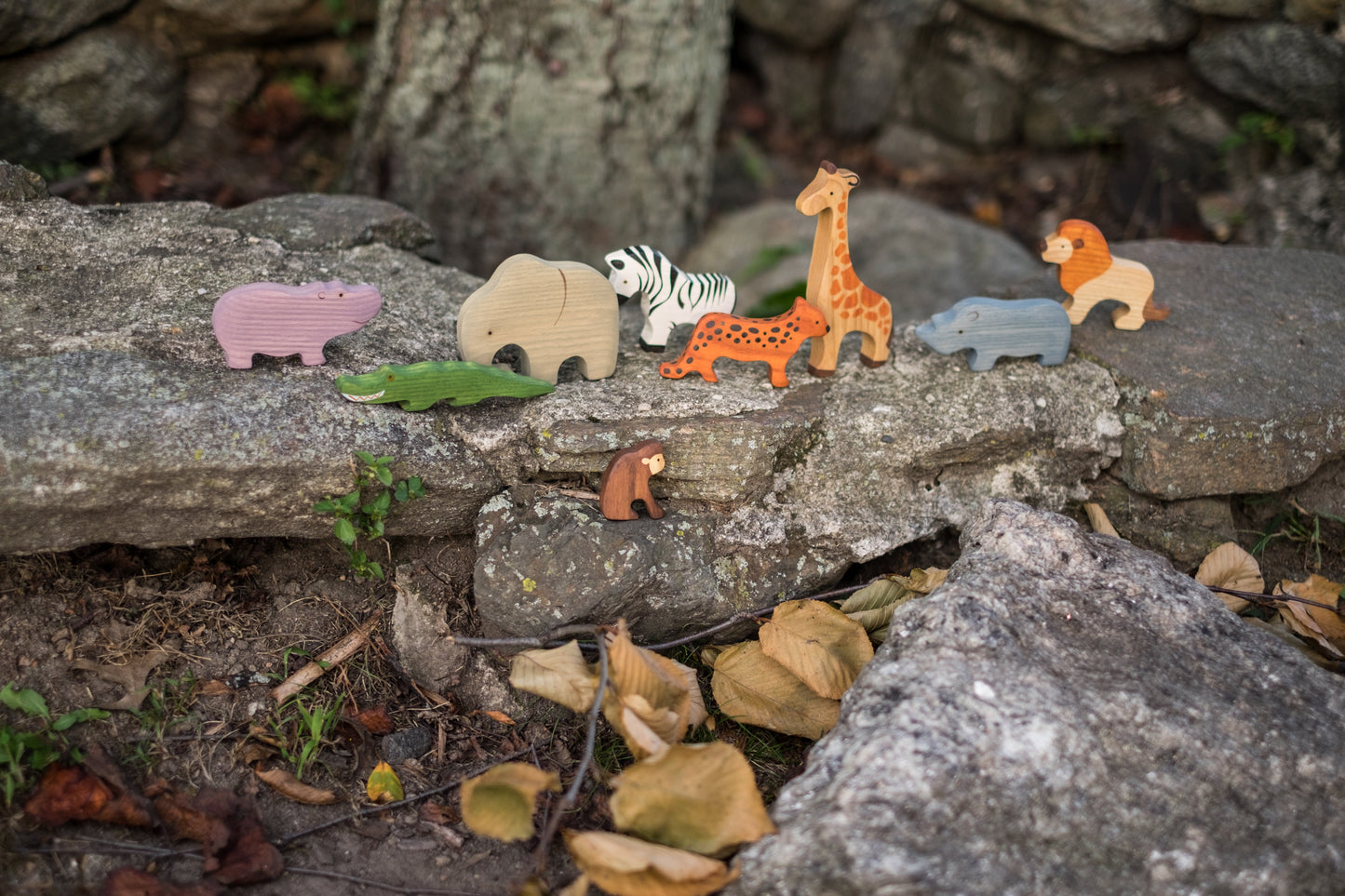 Waldorf African Safari Set of 9 Animals painted