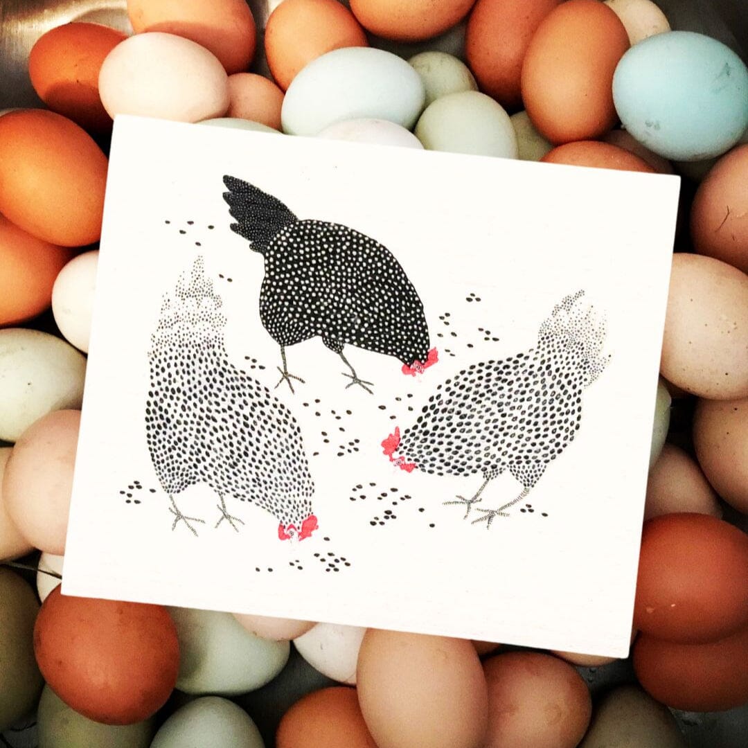 Illustration of chickens on a piece of paper surrounded by real eggs.