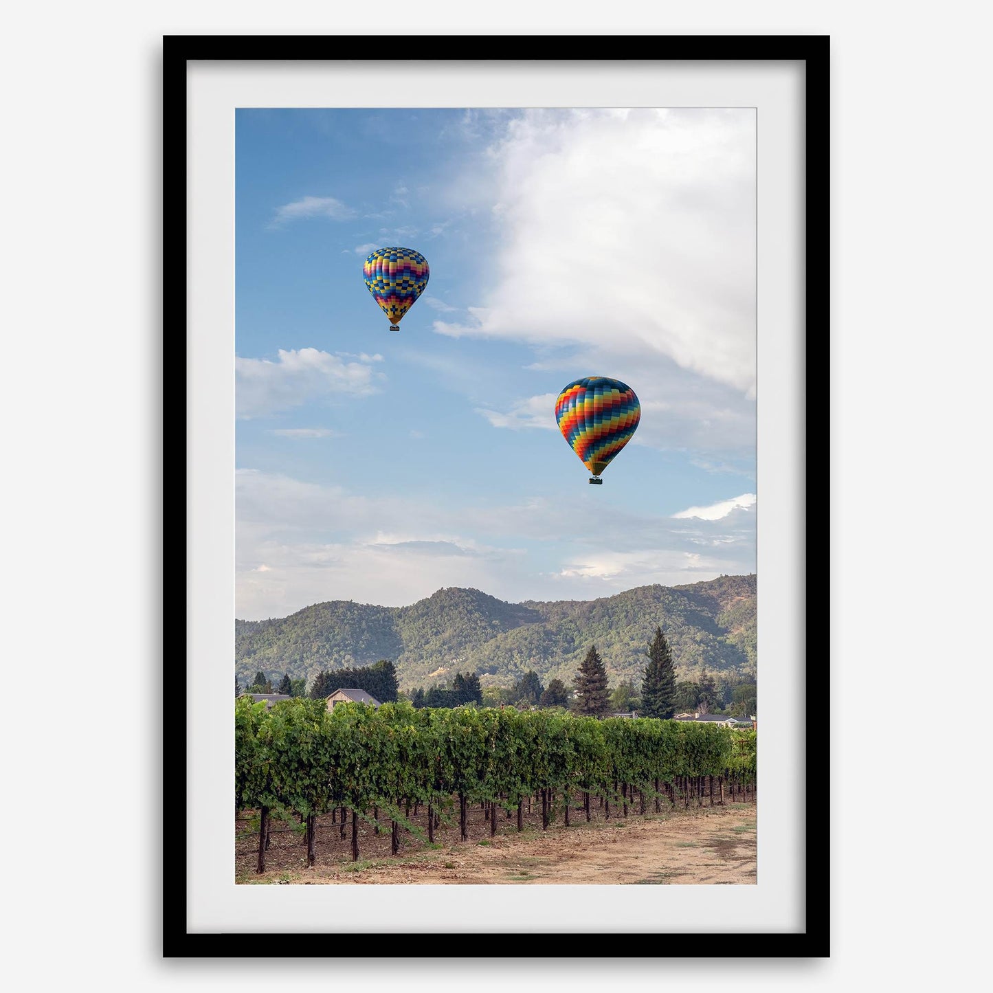 Wine Country Skies