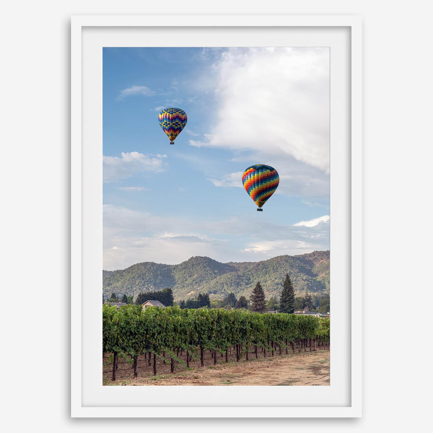 Wine Country Skies