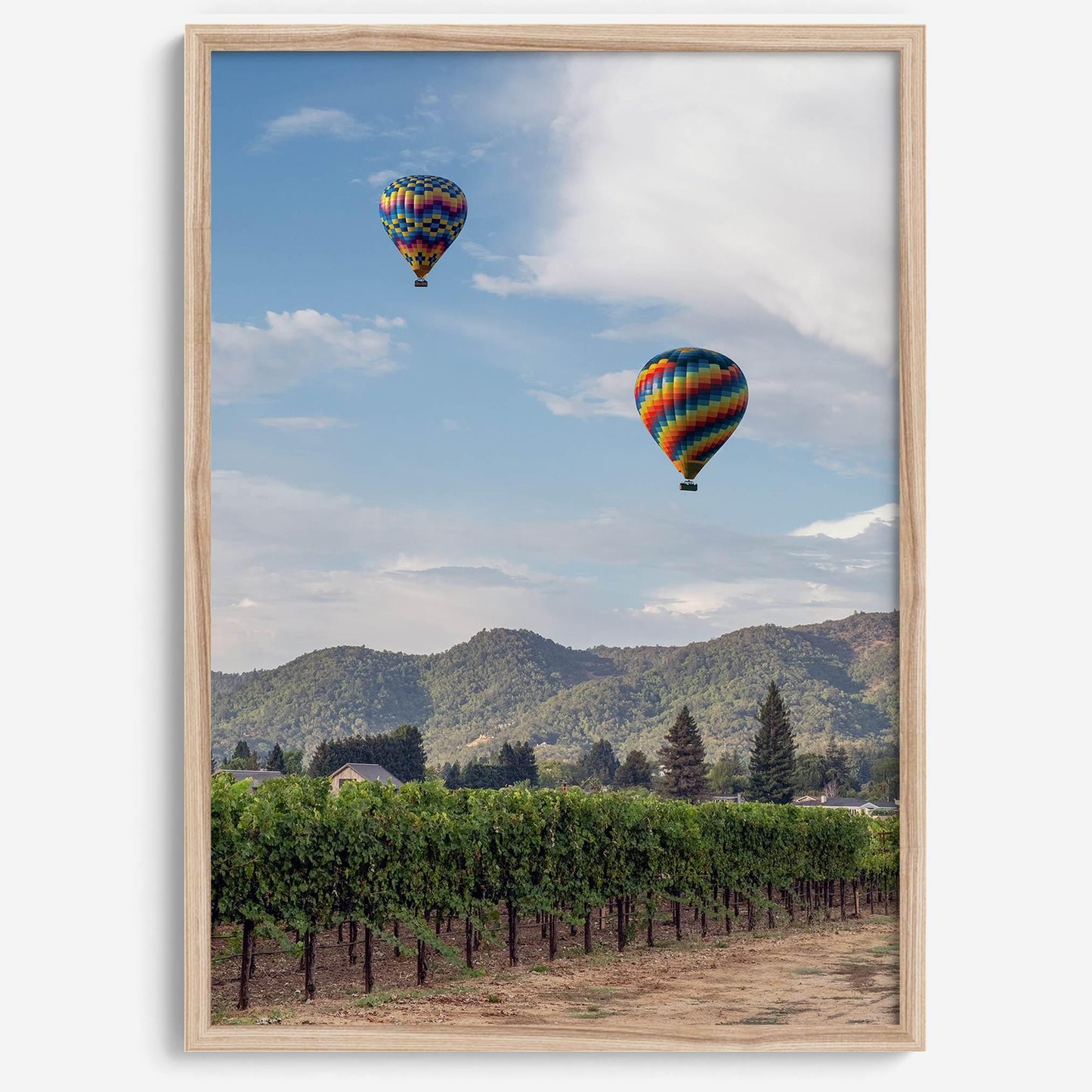 Wine Country Skies