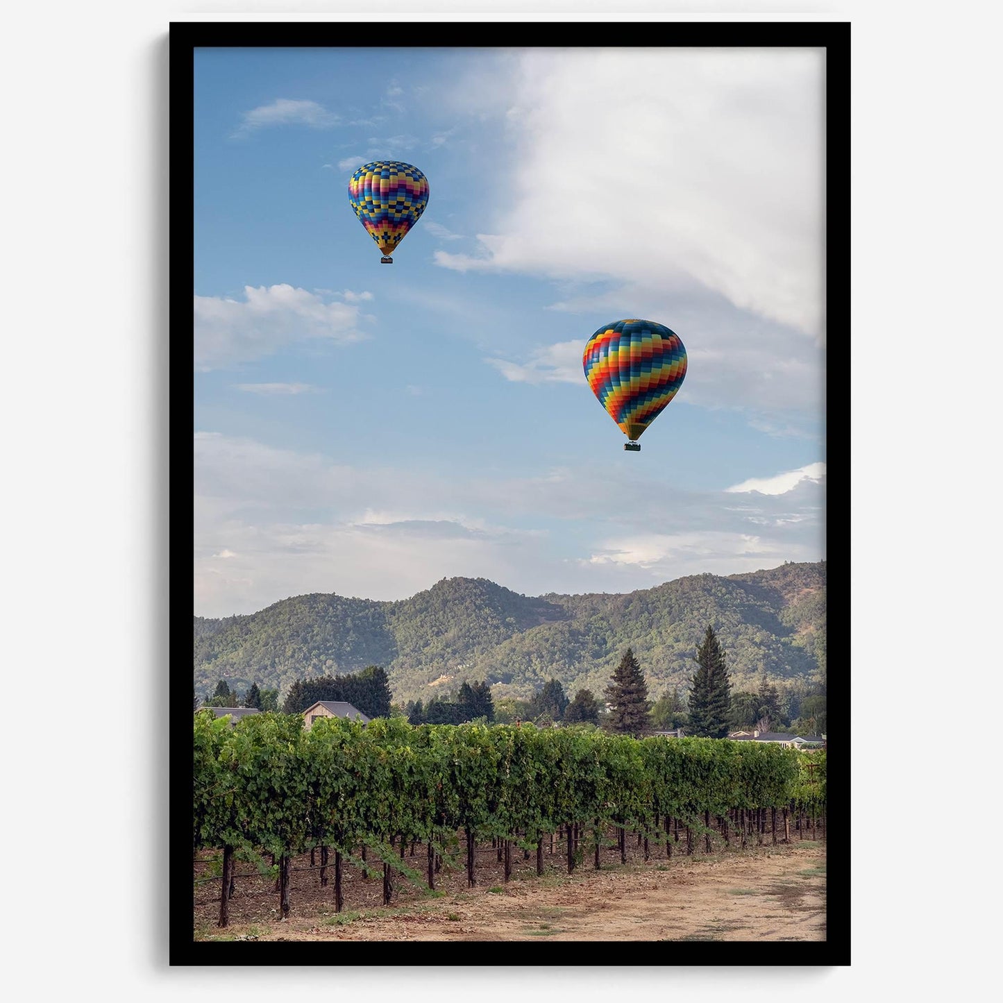 Wine Country Skies