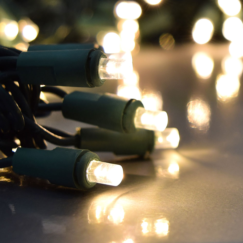 60 Warm White LED 16 Function String Light