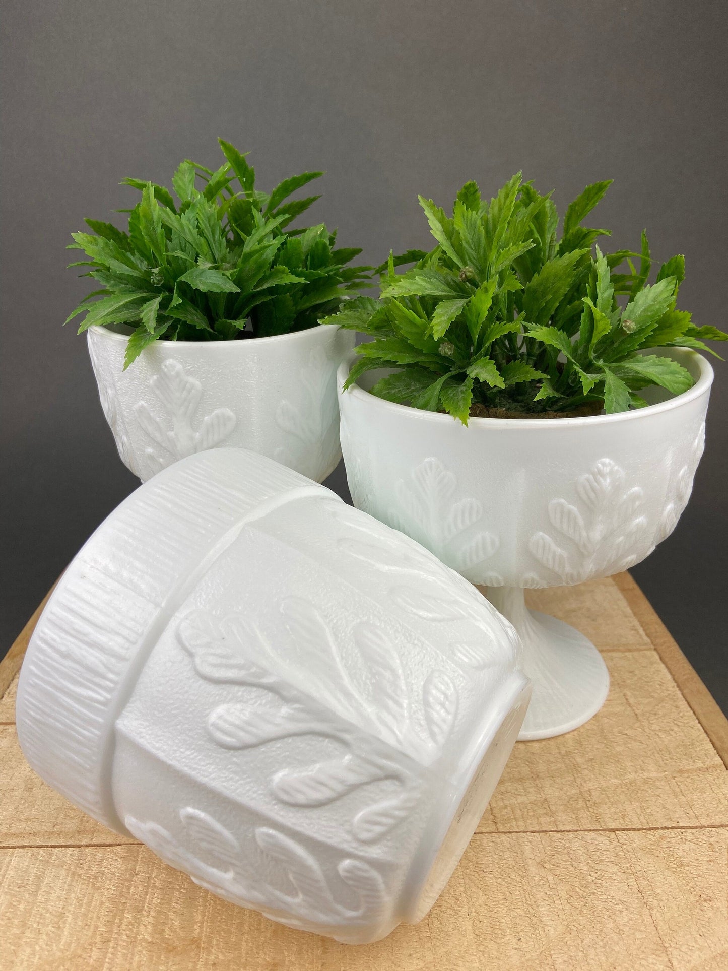 Milk Glass Oak Leaf Design Bowls. Set of Three Differently Shaped Vases. White Herb Planters.