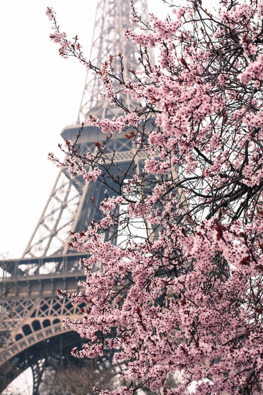 Paris in the Springtime
